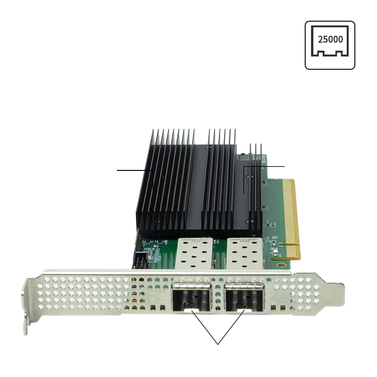 Dual SFP28 ports close-up view on 25G Ethernet adapter